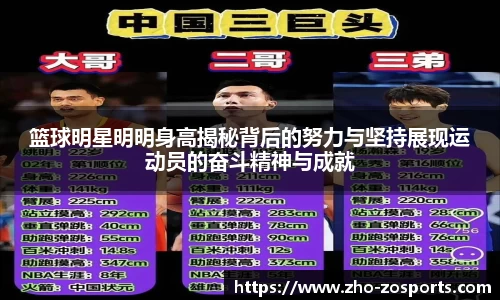 中欧体育平台