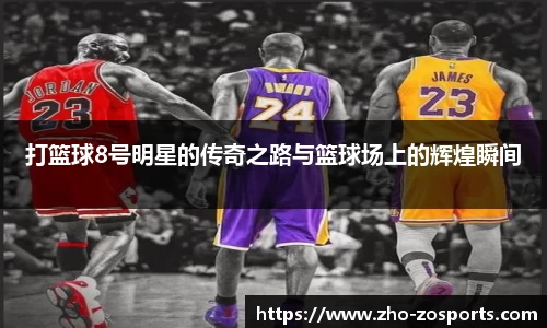 中欧体育